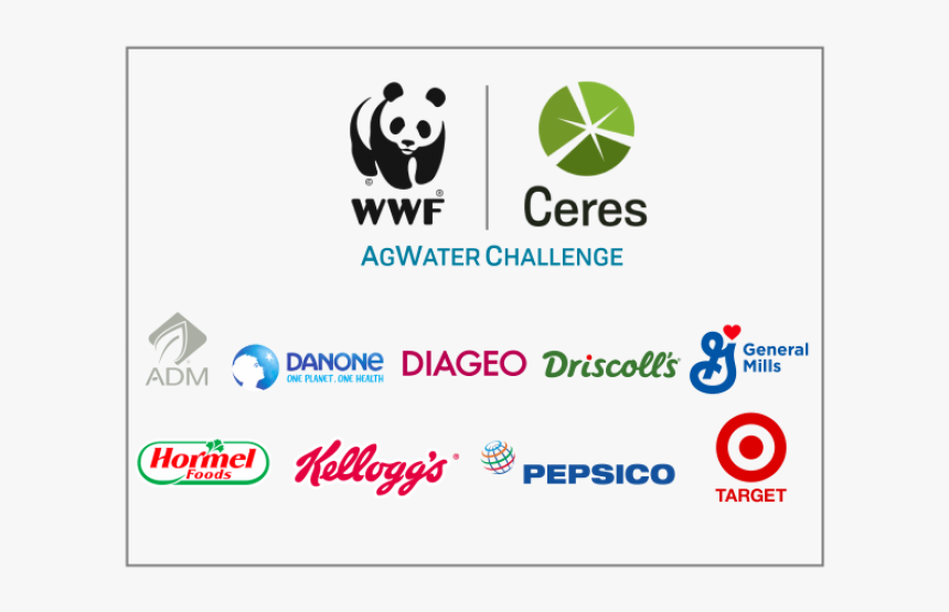 Wwf, HD Png Download