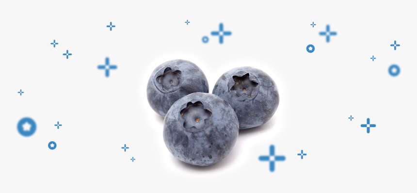 Bilberry, HD Png Download