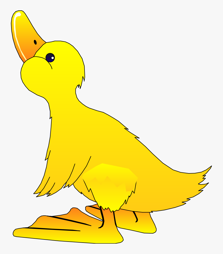 Bird Clipart Vector - Free Clipart Duck, HD Png Download