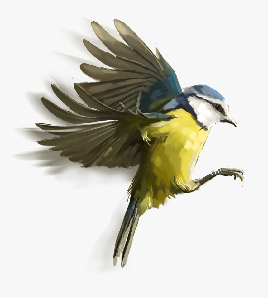 Birds Free Vector - Picsart Birds Png Hd, Transparent Png