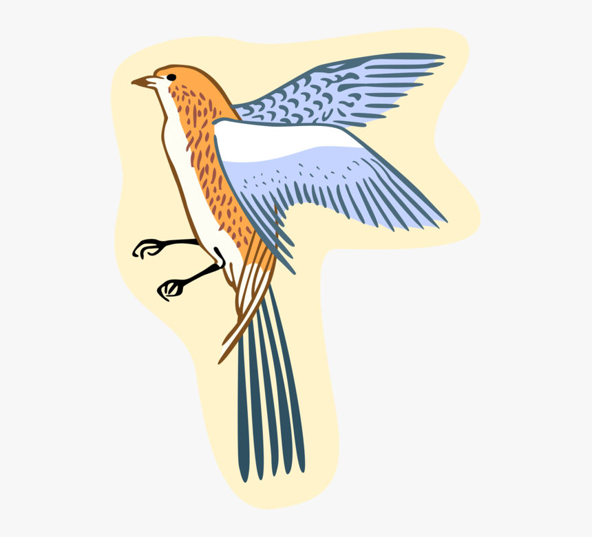 Vector Illustration Of Feathered Bird - Perching Bird, HD Png Download