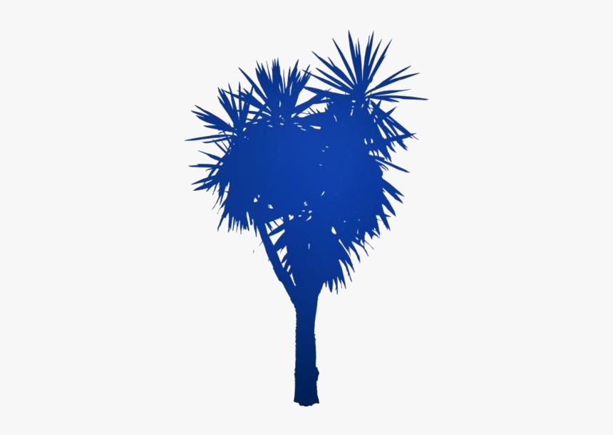 Yucca Plant Png Transparent Images - Sabal Palmetto, Png Download