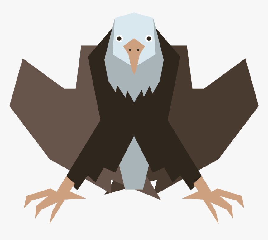 Bald Eagle, HD Png Download