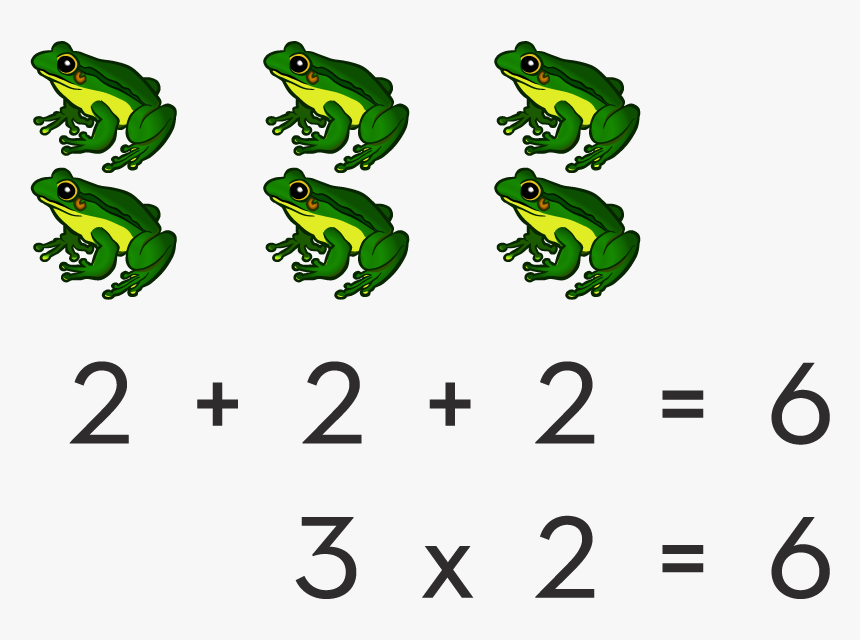 Teaching The Concept Of Multiplication - Agalychnis, HD Png Download