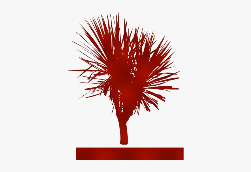 Yucca Png Transparent Images - Illustration, Png Download