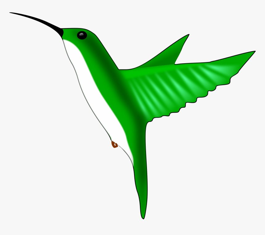 Hummingbird Clipart Vector Clip Art Online Royalty - Hummingbird Clipart Easy, HD Png Download