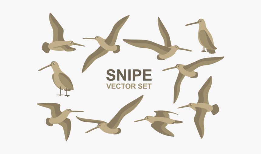 Flock, HD Png Download