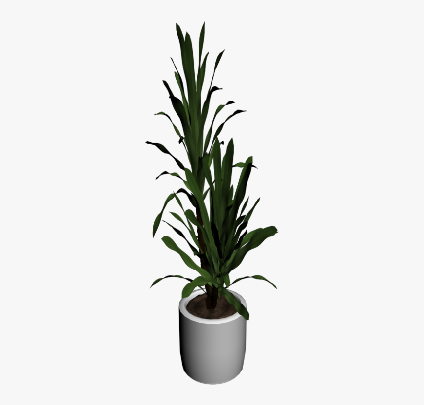 Palm Tree Png In Room, Transparent Png