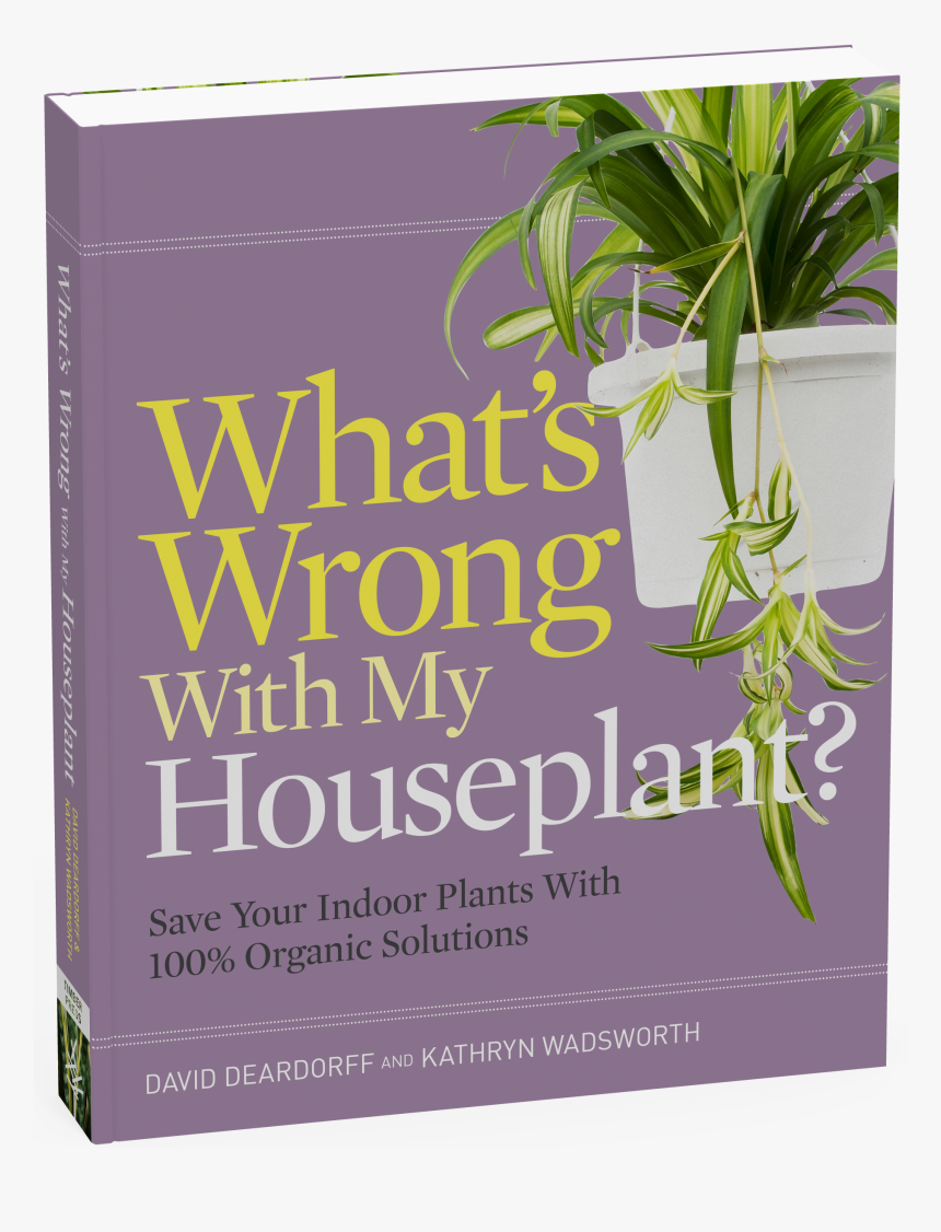 Cover - Yucca, HD Png Download