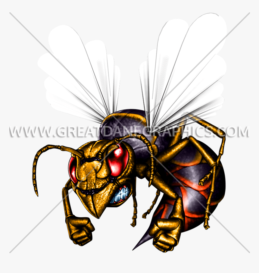 Hornet Clipart Killer Bee - Hornets Art, HD Png Download , Transparent