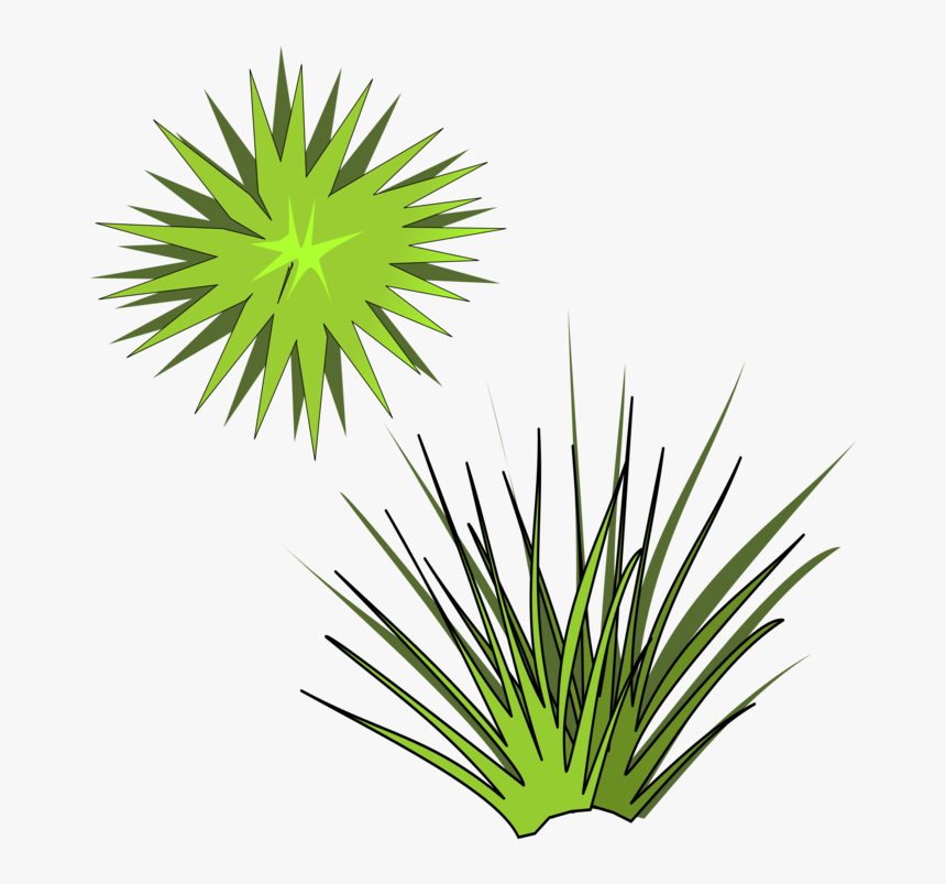 Plant,leaf,arecales - Spiky Plant Clipart, HD Png Download