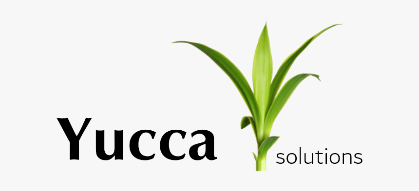 Grass, HD Png Download