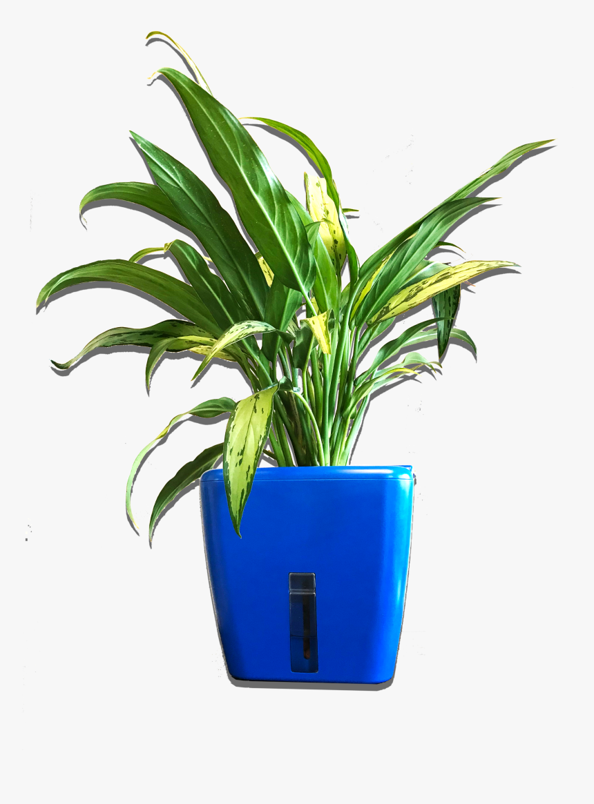 Flowerpot, HD Png Download
