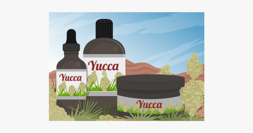 Yucca Scene And Yucca Medicine Extract Of Vector - Tree, HD Png Download