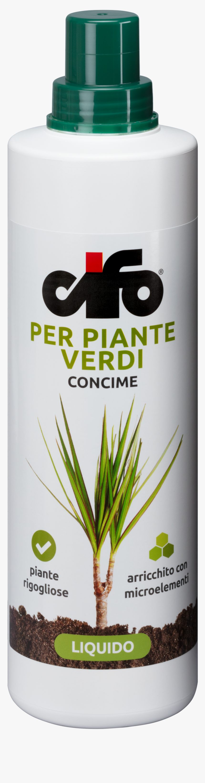 Yucca Plant Png, Transparent Png