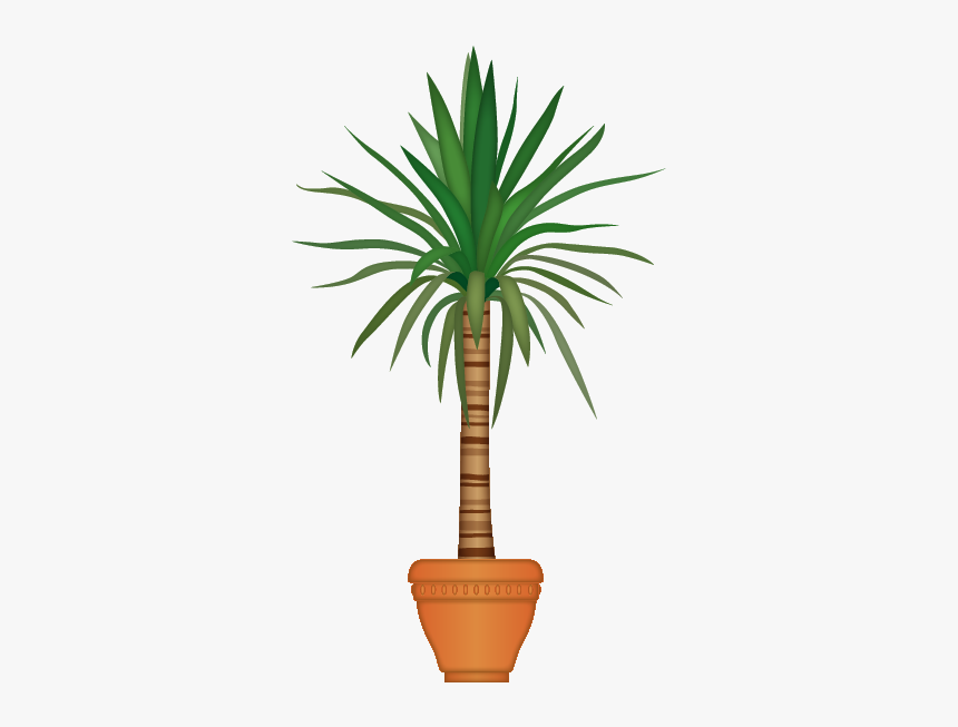 Houseplant, HD Png Download
