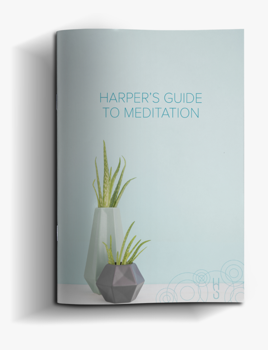 Meditation - Agave, HD Png Download