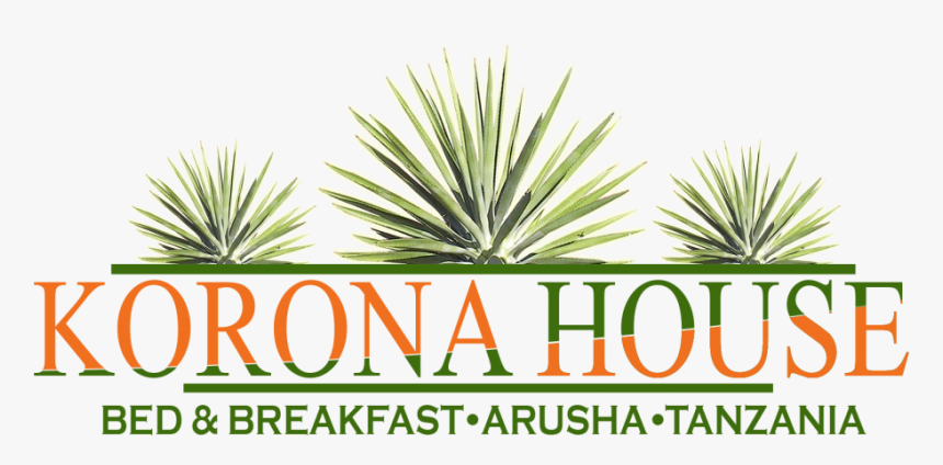 Agave Azul, HD Png Download