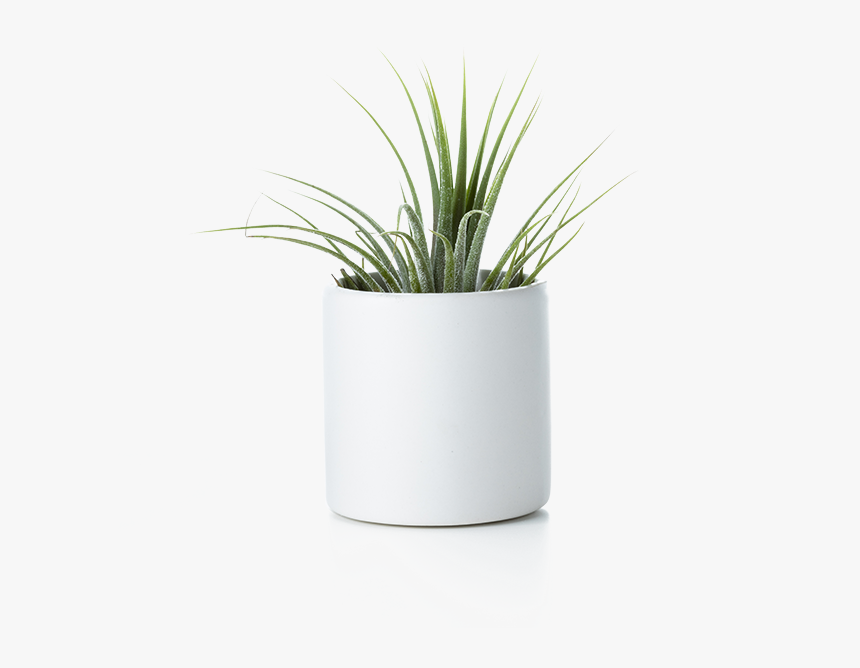 Flowerpot, HD Png Download