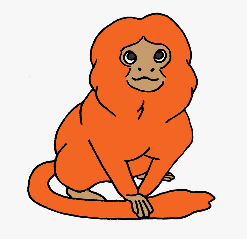 Transparent Lion Png Clipart - Golden Lion Tamarin Cartoon, Png Download