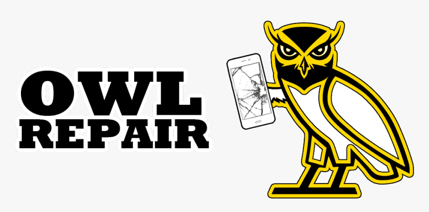 Owl Repair - Cartoon, HD Png Download