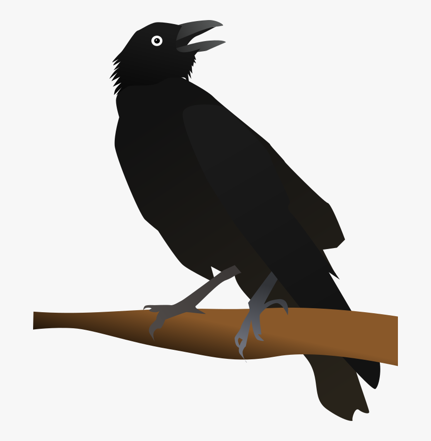 Crow Like Bird,new Caledonian Crow,american Crow - Clip Art Image Of Crow, HD Png Download