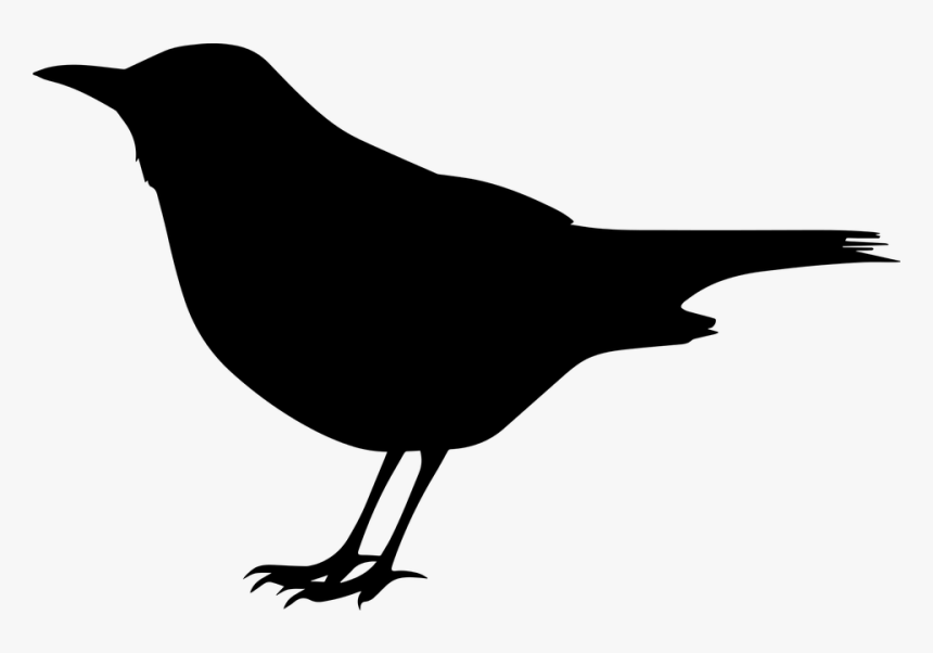 Crow Clipart Black Bird - Clipart Black Bird, HD Png Download