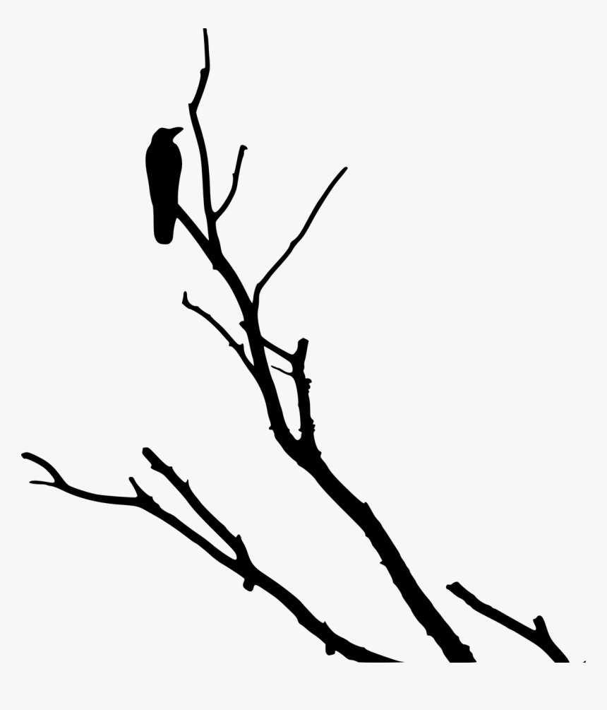 Crow On Dead Tree, HD Png Download