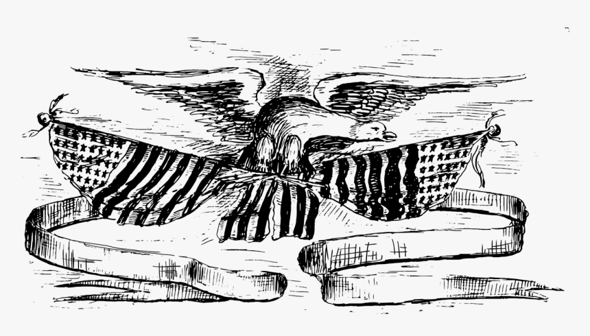 Sketch Patriotic Eagle Drawing, HD Png Download