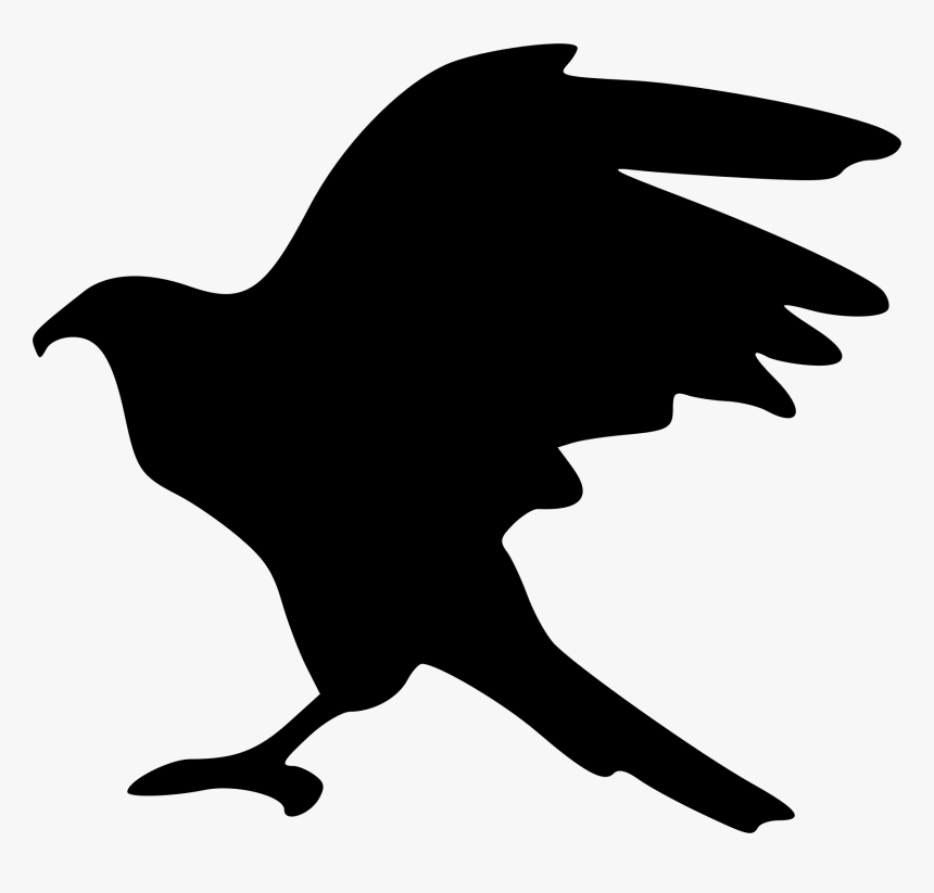 And White,clip Art,beak,peregrine Like Bird,line Art - Hawk Silhouette Transparent, HD Png Download