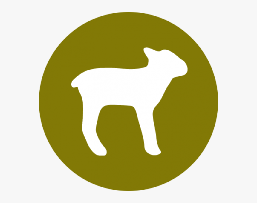 Halo Uses Only Real Whole Meat, Poultry, Or Fish, And, HD Png Download