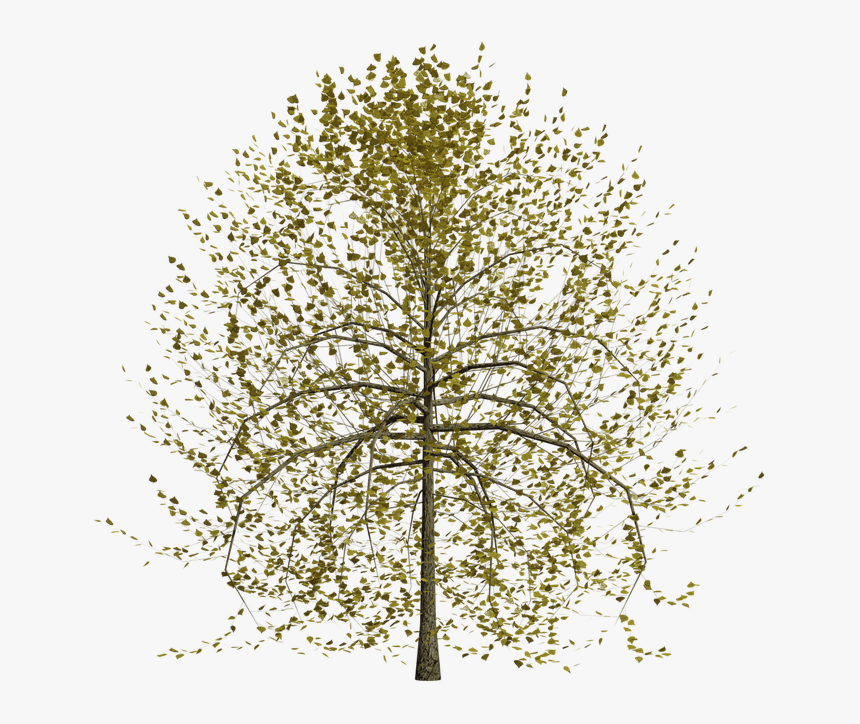 Natural Background Images Png, Transparent Png