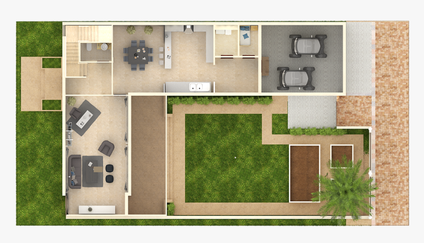 Grass Plan Png, Transparent Png