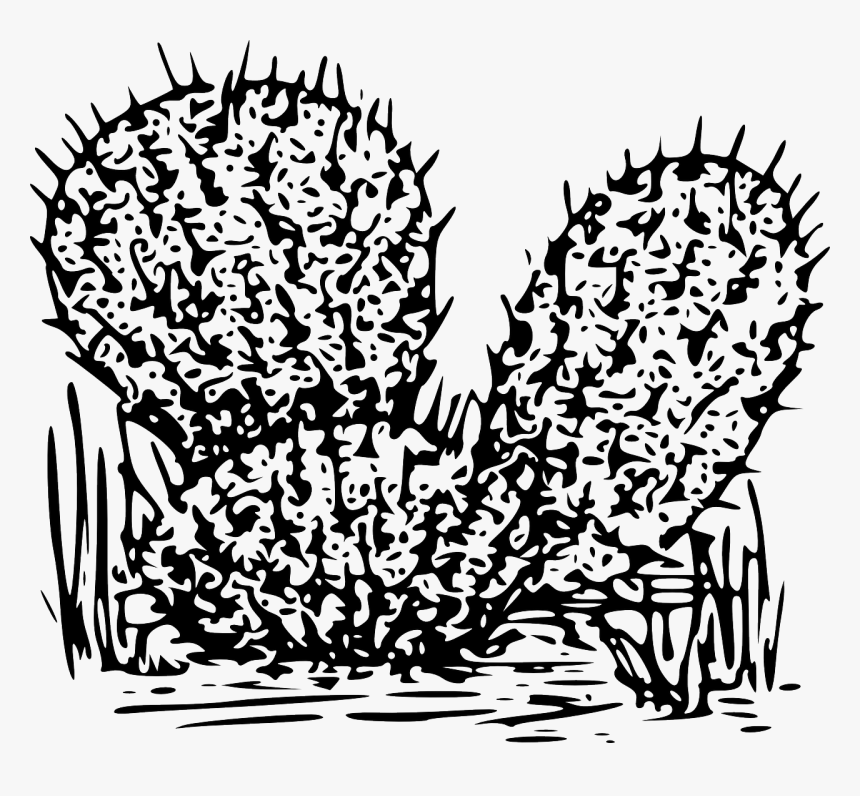 Biology Png, Transparent Png