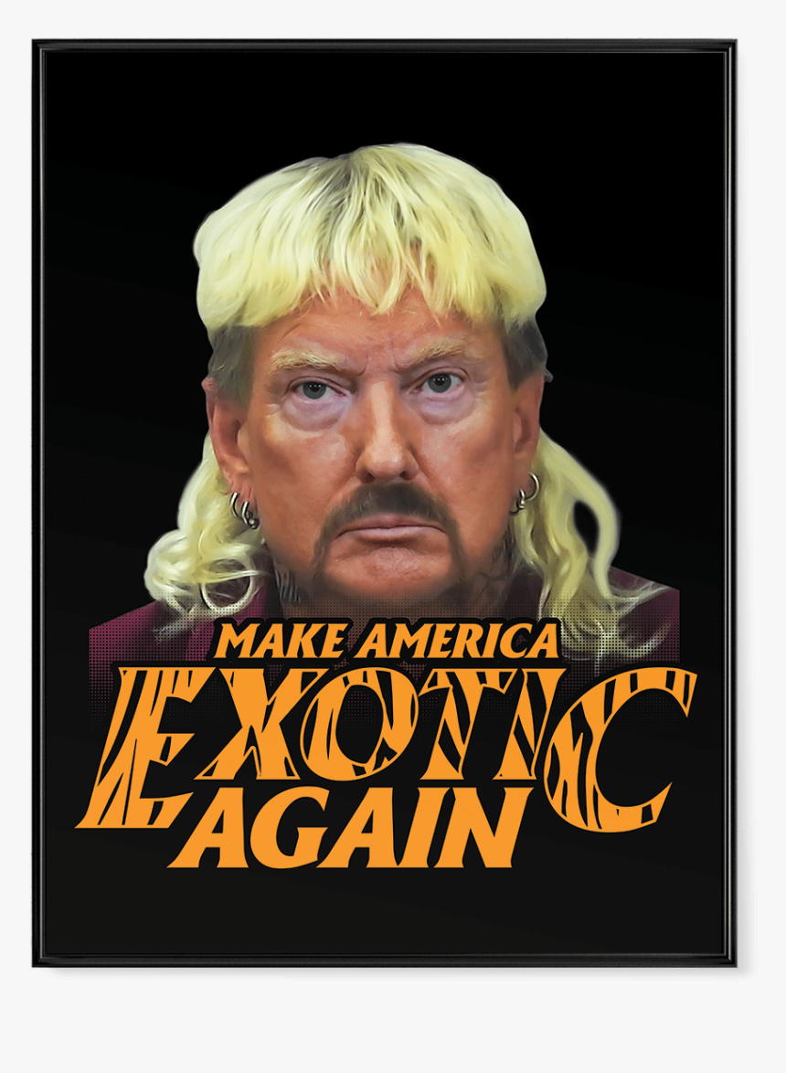 Trump Wig Png, Transparent Png