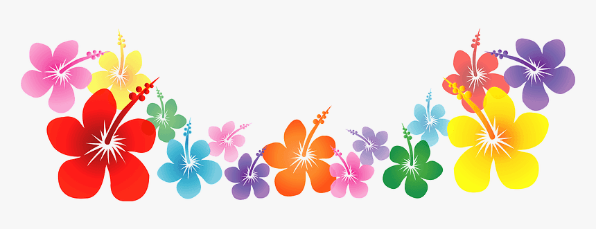 Hibiscus Flower Line Clipart 南国 イラスト フリー 素材 Hd Png Download Transparent Png Image Pngitem
