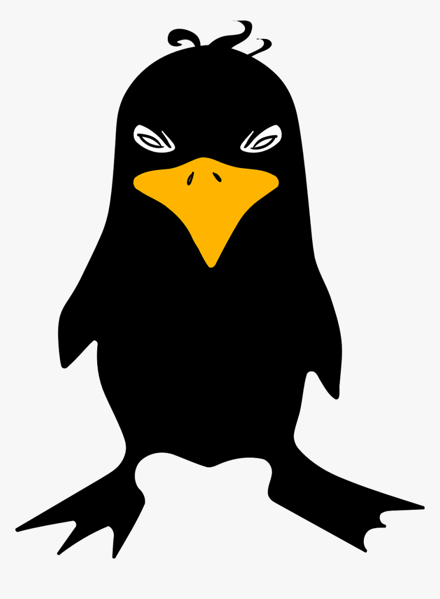 Small Cartoon Black Bird, HD Png Download