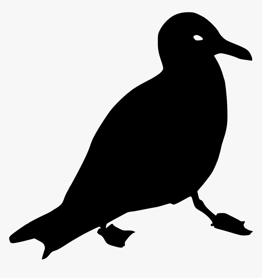 Silhouette Goeland, HD Png Download