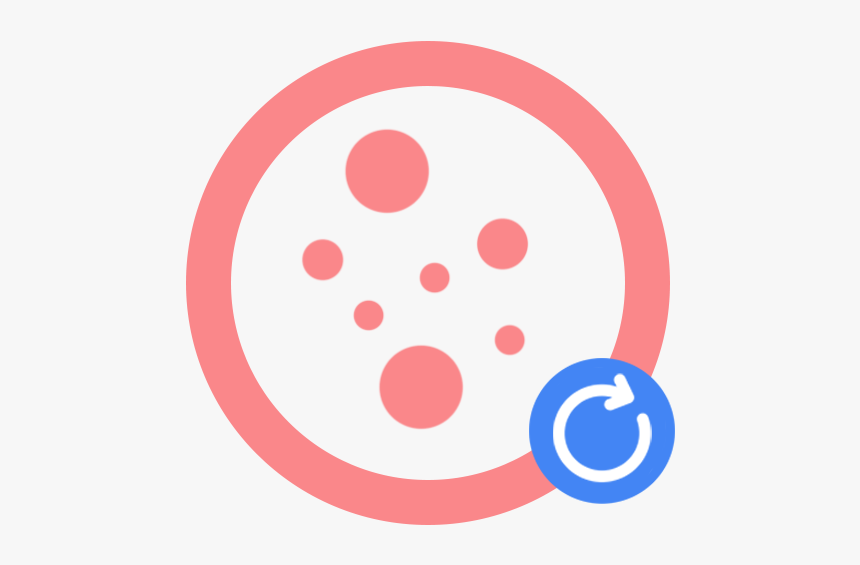 Circle,clip - Circle, HD Png Download