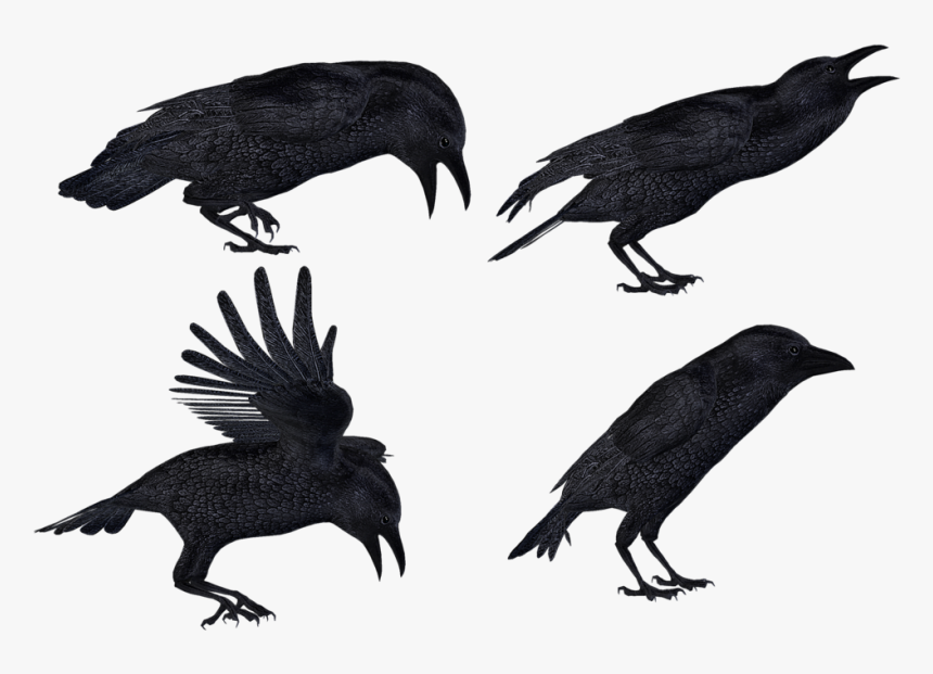 More Artists Like Flying Birds 07 Png Stock By Roys-art - Group Crows Png, Transparent Png