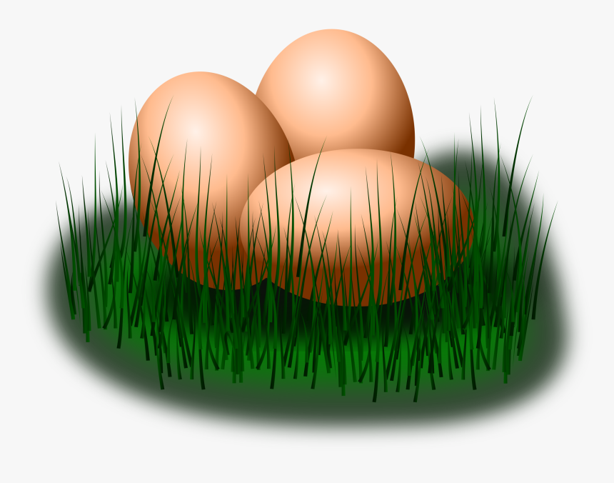 Easter Eggs Grass Free Picture, HD Png Download