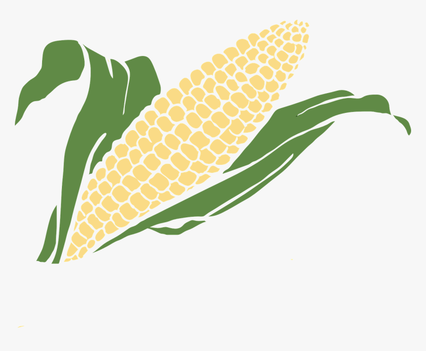 Food,corn,graphics,clip - Transparent Background Corn Clip Art, HD Png Download