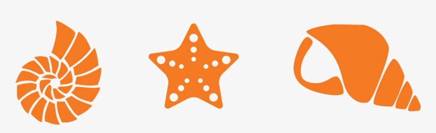 Sea Shells - Seashell Decal, HD Png Download