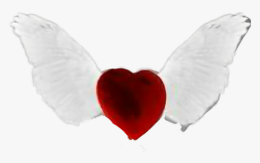 Transparent Heart With Wings Clipart - Angel Heart Png, Png Download