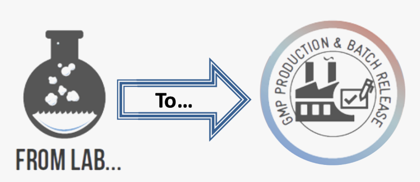 The Gmp Pilot Plant Will Provide Campaign Production - Circle, HD Png Download