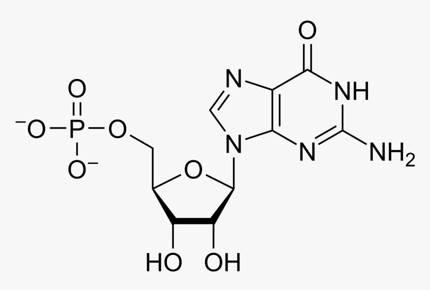 5 Aminouracil, HD Png Download