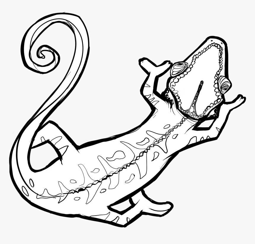 Chamaleon Outlines Black And White - Cartoon, HD Png Download