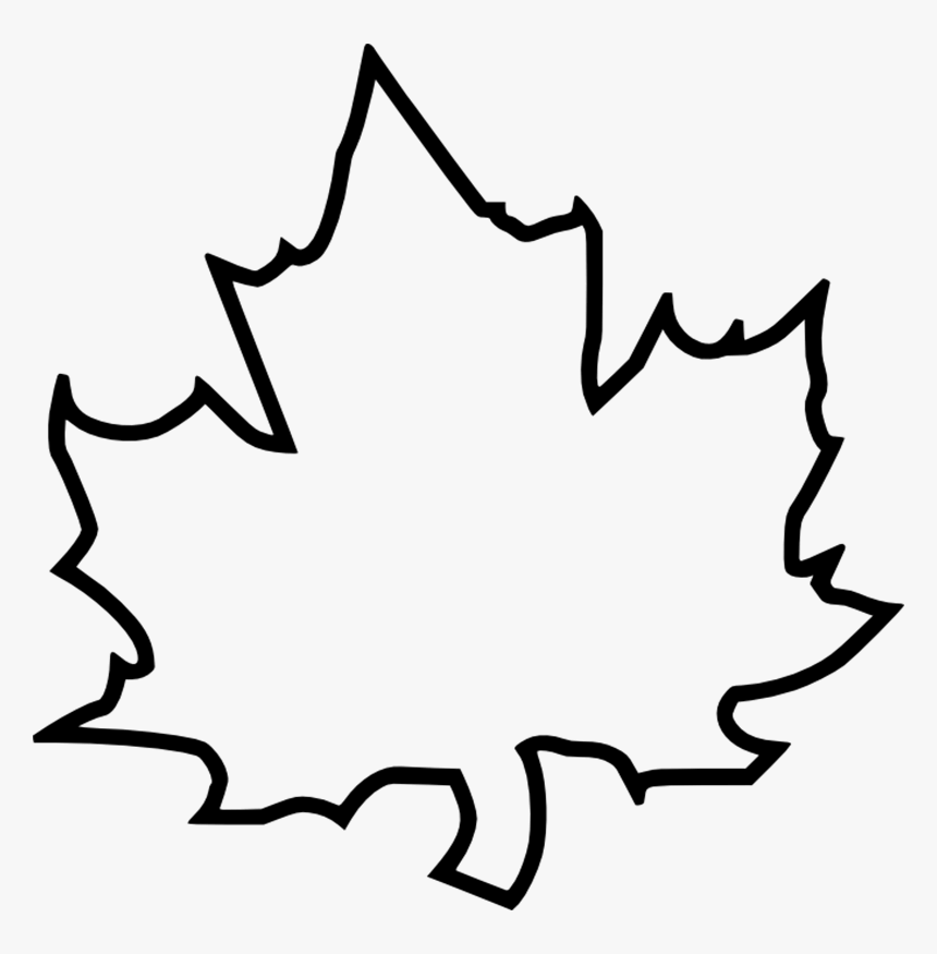 Explore Maple Leaves, Autumn Leaves, And More - Large Leaf Template, HD Png Download