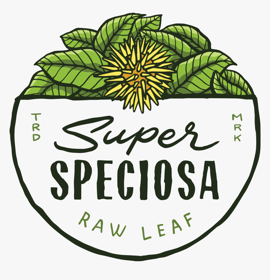 Gmp-3 - Super Speciosa, HD Png Download