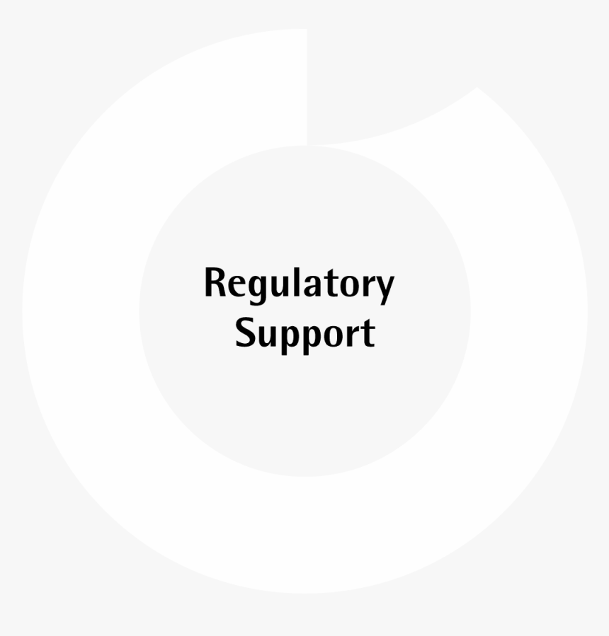 Circle, HD Png Download